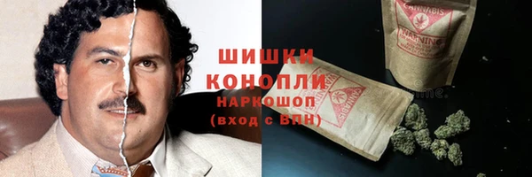 дурь Касимов