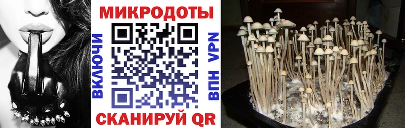 Псилоцибиновые грибы GOLDEN TEACHER  Купить закладки  Гулькевичи 